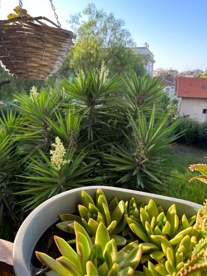 Location De Chambre Privee Dans Residence Prive, Jardins Et Parking Gratuit 1 Min To Tramway Et 9 Min De Centre-Ville, Accessibilite A Plusieurs Transports Ніцца Екстер'єр фото